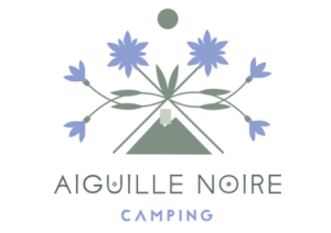 logo Camping Aiguille Noire